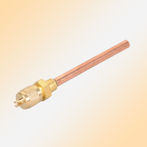 뷧 Access Valve